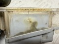 подсветка номера Renault Laguna 2 поколение 2002, 1.9 л., F9Q 750, дизель, МКПП, хетчбэк 5 дв., передний привод, 7700796163 - фото №6