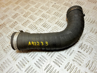 патрубок интеркулера Renault Scenic RX4 1 поколение 2002, 1.9 л., F9Q 740, дизель, МКПП, полный привод, 8200065740