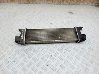 интеркулер Mercedes-Benz A W168 1 поколение (1997-2001) 2000, 1.7 л., OM 668.940, дизель, АКПП, хетчбэк 5 дв., передний привод, A1685000000, 01009990000