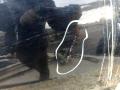 дверь задняя правая Peugeot 4007 1 поколение 2011, 2.2 л., 4HN (DW12MTED4), дизель, МКПП, внедорожник 5 дв., правый руль - фото №5