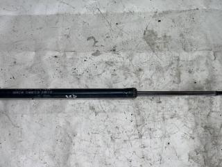 амортизатор капота SsangYong Rexton 1 поколение [рестайлинг] 2006, 2.7 л., D27DTP, дизель, АКПП