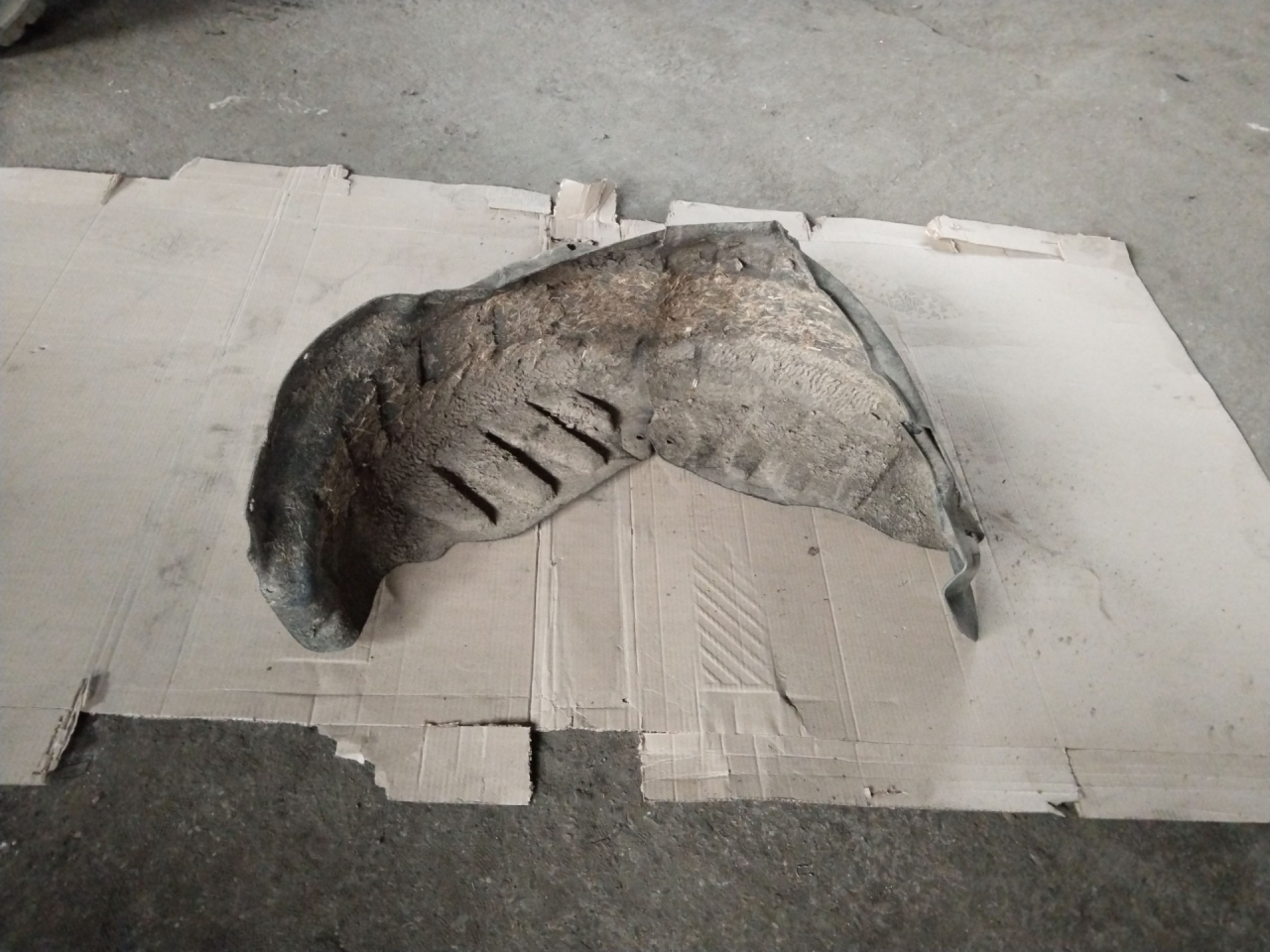 защита арок задняя правая (подкрылок) Renault Scenic 3 поколение 2011, 1.6 л., R9M 402, дизель, минивэн - фото №1