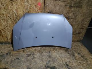 капот Fiat Doblo 1 поколение [рестайлинг] 2007, 1.3 л., 223 A9.000, дизель, МКПП, минивэн