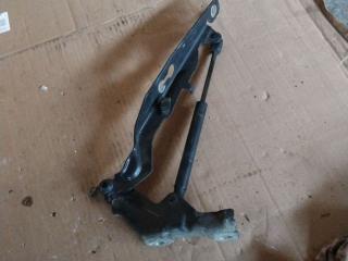 петля капота Volvo S80 2 поколение 2008, 2.4 л., D 5244 T4, дизель, 30649514