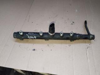 топливная рампа Fiat Ducato 3 поколение 2006, 2.3 л., F1AE0481C, дизель