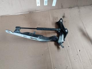 петля капота Volvo S80 2 поколение 2008, 2.4 л., D 5244 T4, дизель