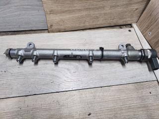 топливная рампа Mercedes-Benz C-Класс W203/S203/CL203 [рестайлинг] 2005, 2.2 л., OM 646.963, дизель, A6460100670, A6460701595, 0445214163