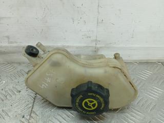 бачок гидроусилителя Ford Ka 1 поколение 2001, 1.3 л., бензин, МКПП, желтый, хетчбэк 3 дв., передний привод, 1S513R700AD