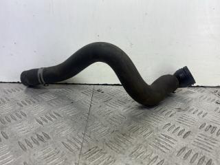 патрубок радиатора Skoda Yeti 1 поколение (2009 - 2014), бензин, МКПП, коричневый, 1K0121049CB