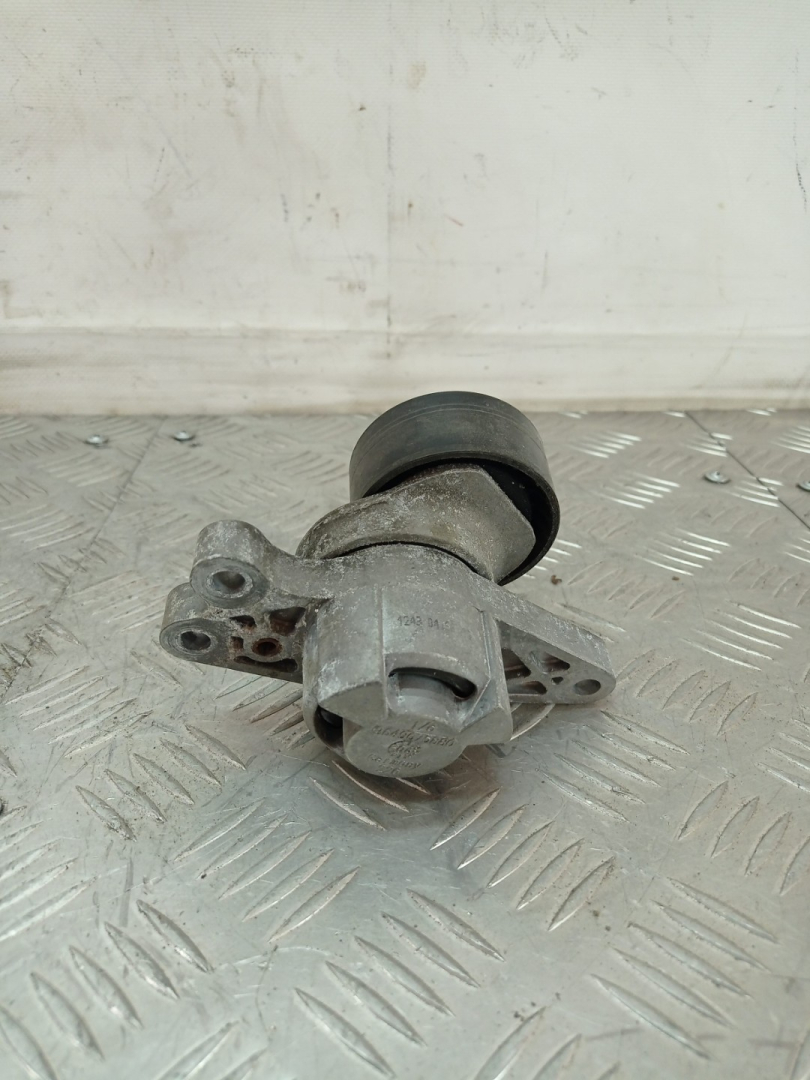 натяжитель Peugeot 206 1 поколение 2002, 1.6 л., NFU (TU5JP4), бензин, МКПП, черный, кабриолет, передний привод, 9649675880 - фото №1