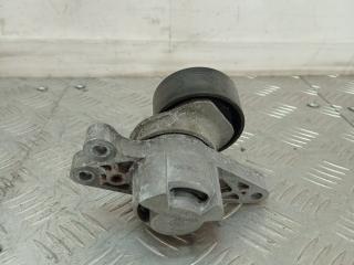 натяжитель Peugeot 206 1 поколение 2002, 1.6 л., NFU (TU5JP4), бензин, МКПП, черный, кабриолет, передний привод, 9649675880