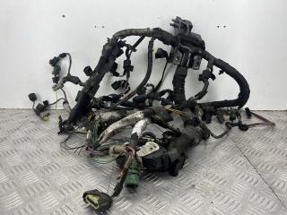 проводка двигателя Peugeot 607 1 поколение [рестайлинг] 2006, 2.7 л., DT17TED4, дизель, АКПП, голубой, седан, передний привод