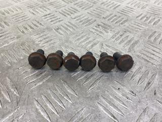 болт двигателя Volkswagen Lupo 1 поколение (1998 - 2005), 1.4 л., AMF, дизель, розовый, хетчбэк 3 дв., передний привод