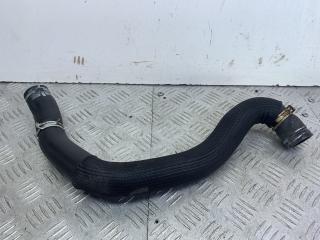 патрубок радиатора Citroen Xsara Picasso 1 поколение 2004, 1.8 л., 6FZ (EW7J4), бензин, МКПП, серый, передний привод