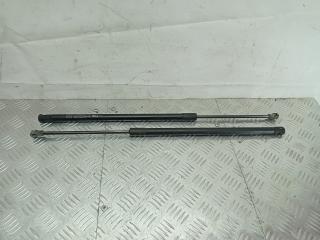 амортизатор крышки багажника (3-5 двери) Opel Antara 1 поколение 2006, 2.0 л., Z 20 DMH, дизель, 5МКПП, серебро, внедорожник 5 дв., полный привод, 96661403