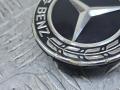 колпачок литого диска Mercedes-Benz E-Класс W212/S212/C207/A207 (2009 - 2013), A2224002100 - фото №4