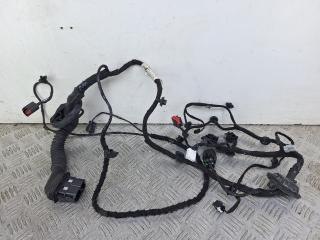 дверная проводка Ford Galaxy 3 поколение [рестайлинг] 2022, 2.0 л., дизель, АКПП, белый, минивэн, передний привод, 13986909