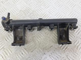 топливная рампа Citroen Xsara Picasso 1 поколение [рестайлинг] 2009, 1.6 л., NFU (TU5JP4), бензин, МКПП, кофейный, минивэн, передний привод, 9650764780