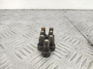 болт двигателя Renault Duster 1 поколение (2010 - 2015), 2.0 л., F4R, бензин, МКПП