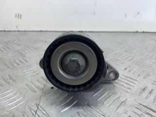 Натяжитель ремня агрегатов Renault Megane 1 поколение [рестайлинг] (1999 - 2003), 1.4 л., K4J 710, бензин, МКПП, оливковый, хетчбэк 5 дв., передний привод, 8200603359