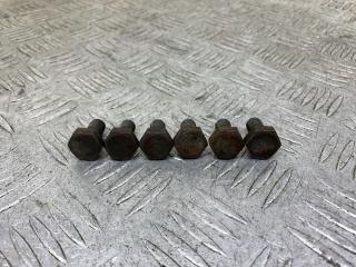 болт двигателя Dacia Logan MCV 2 поколение (2013 - 2016), фургон