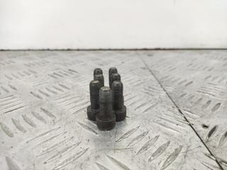 болт двигателя Renault Scenic 2 поколение 2005, 1.9 л., дизель, МКПП, синий, минивэн, передний привод