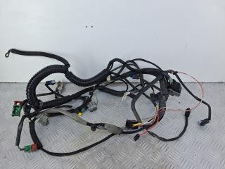 проводка двигателя Citroen Xsara Picasso 1 поколение [рестайлинг] 2009, 1.6 л., NFU (TU5JP4), бензин, МКПП, кофейный, минивэн, передний привод