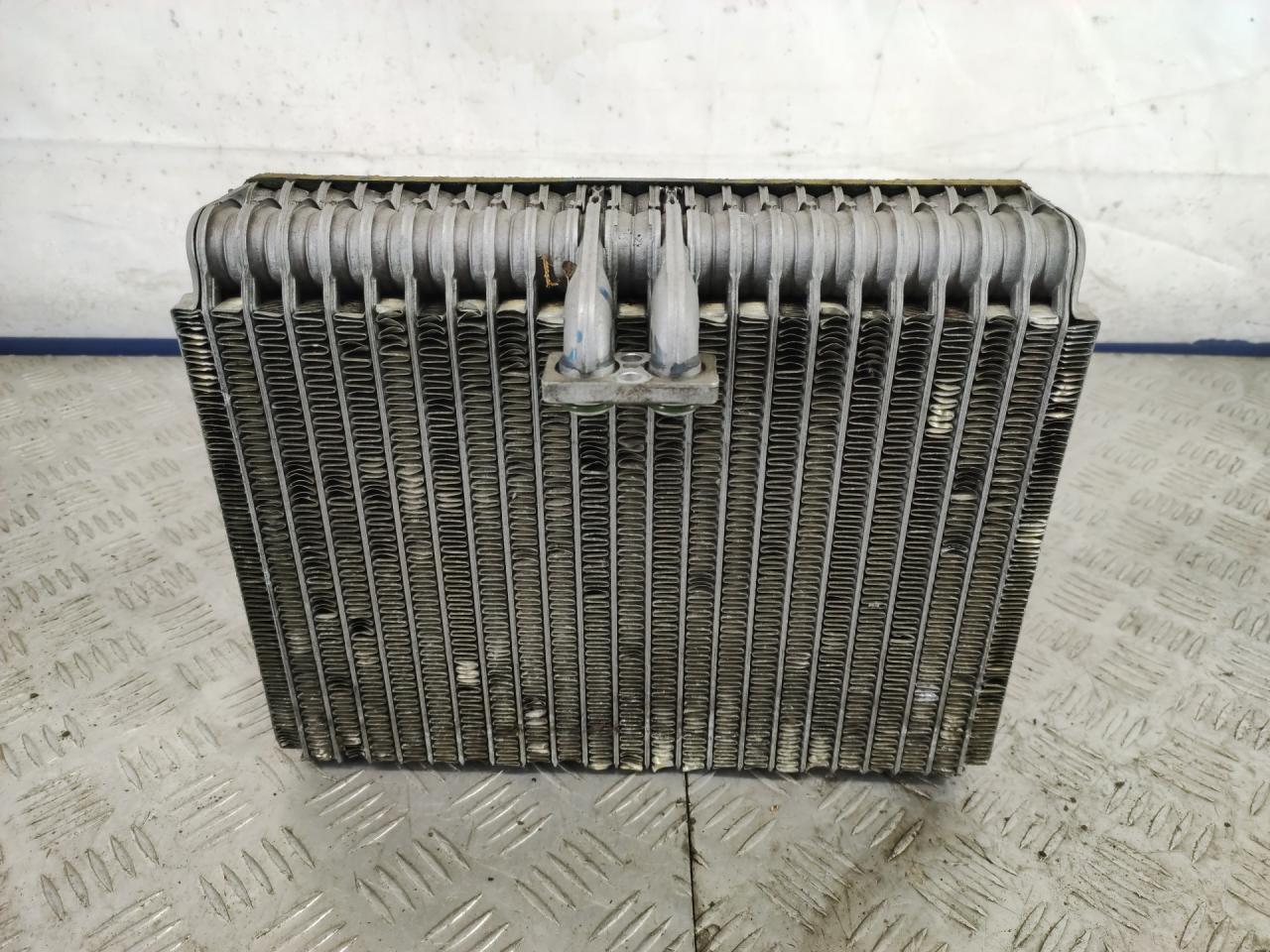 испаритель кондиционера Renault Espace 3 поколение 1998, 2.0 л., F3R 768, бензин, МКПП, бордовый, минивэн, передний привод, 48030982, 250818838 - фото №1