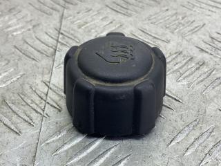 пробка расширительного бачка Renault Megane 1 поколение [рестайлинг] (1999 - 2003), 1.4 л., K4J 710, бензин, МКПП, оливковый, хетчбэк 5 дв., передний привод