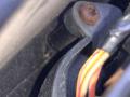 зеркало наружное правое Chrysler Sebring 3 поколение 2009, 2.0 л., дизель, МКПП, черный, кабриолет, передний привод - фото №10