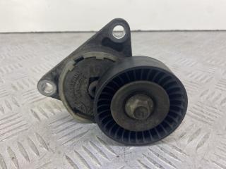 натяжитель Chevrolet Aveo T200 2005, 1.6 л., бензин, АКПП, черный, передний привод, GK21022P, 3200000003, 96349976