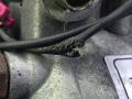 компрессор кондиционера Volkswagen Passat B5 2000, 1.9 л., дизель, седан, 7702020174 - фото №8