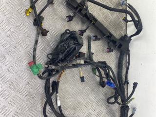 проводка двигателя Citroen Xsara Picasso 1 поколение 2004, 1.8 л., 6FZ (EW7J4), бензин, МКПП, серый, передний привод, 9653096980