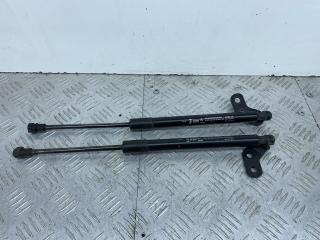 амортизатор крышки багажника (3-5 двери) Chevrolet Spark M300 2012, 1.0 л., бензин, МКПП, красный, хетчбэк 5 дв., передний привод, 055-322-2081-3, 95962016, 95962017