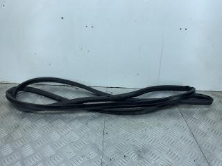 уплотнитель двери Opel Insignia 2 поколение (B) 2018, 2.0 л., дизель, АКПП, белый, хетчбэк 5 дв., полный привод, 422518308