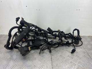 проводка двигателя Mercedes-Benz C-Класс W203/S203/CL203 [рестайлинг] W203.054 2005, 3.0 л., M 272.940, бензин, АКПП, темно синий, седан, задний привод, A2720103702