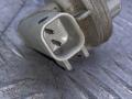 патрон фонаря Ford Focus 1 поколение [рестайлинг] (2001 - 2005), 1.8 л., бензин, МКПП, серебро, хетчбэк 5 дв., передний привод - фото №5