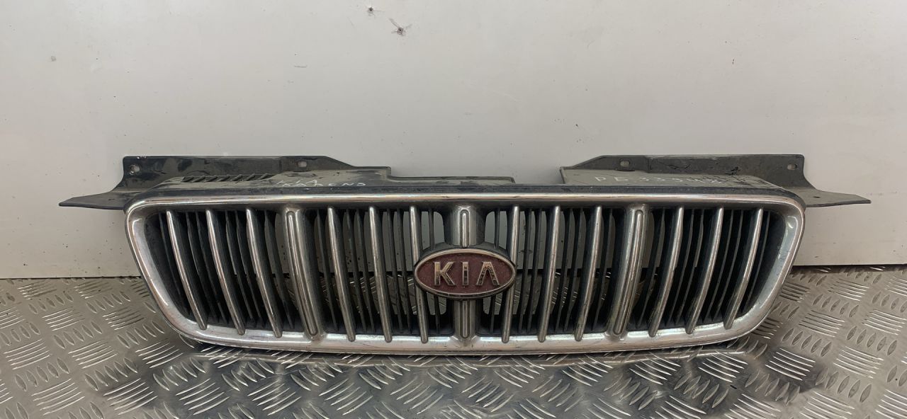 решетка радиатора Kia Carens 1 поколение 2001, 1.8 л., бензин, МКПП, светло-кофейный, передний привод - фото №1