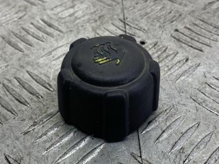 пробка расширительного бачка Renault Scenic 1 поколение [рестайлинг] 2002, 1.6 л., K4M 700, бензин, МКПП, серебро, минивэн, передний привод