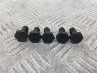 болт двигателя Kia Picanto 1 поколение (2004 - 2007), бензин, МКПП, голубой, хетчбэк 5 дв., передний привод