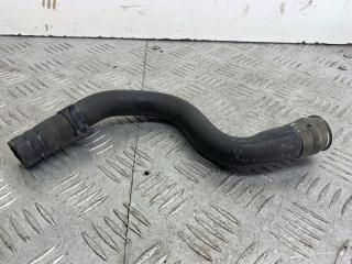 патрубок радиатора Citroen Xsara Picasso 1 поколение 2004, 1.8 л., 6FZ (EW7J4), бензин, МКПП, серый, передний привод