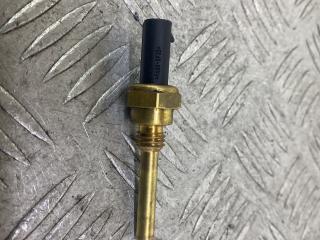 датчик температуры двигателя Ford Galaxy 3 поколение [рестайлинг] 2022, 2.0 л., дизель, АКПП, белый, минивэн, передний привод, GK2A6G4AA, R6DJA01022