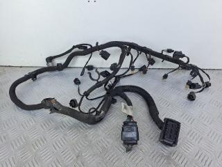 проводка двигателя Skoda Fabia 1 поколение (6Y) (1999 - 2004), 1.2 л., CBZA, бензин, МКПП, серый, универсал, передний привод, 03F971612