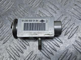 расширительный клапан кондиционера Mercedes-Benz C-Класс W203/S203/CL203 [рестайлинг] 2005, 2.2 л., дизель, серебро, универсал, задний привод, 2308300184