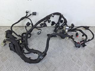 проводка двигателя Ford Galaxy 3 поколение [рестайлинг] 2022, 2.0 л., дизель, АКПП, белый, минивэн, передний привод, HG9T12C508