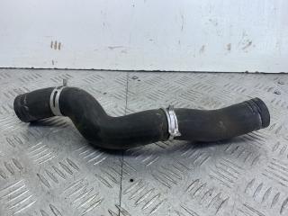 патрубок радиатора Citroen Xsara Picasso 1 поколение 2004, 1.8 л., 6FZ (EW7J4), бензин, МКПП, серый, передний привод