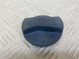 пробка расширительного бачка Volkswagen Passat B5 1999, 1.8 л., APT, бензин, 5МКПП, зеленый, универсал, передний привод, 1J0121321B