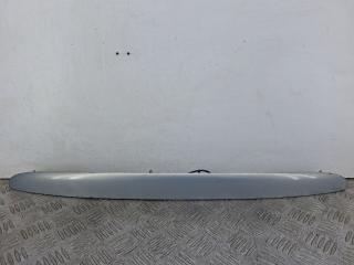 накладка подсветки номера Renault Scenic 1 поколение [рестайлинг] (1999 - 2003), 1.6 л., K4M 701, бензин, АКПП, минивэн, 7700428465, 7700430450