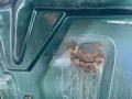 крышка багажника (дверь 3-5) Volkswagen Passat B5 1999, 1.8 л., APT, бензин, 5МКПП, зеленый, универсал, передний привод - фото №11