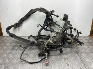 проводка двигателя Infiniti EX25 1 поколение (2007 - 2013), 2.5 л., VQ25HR, бензин